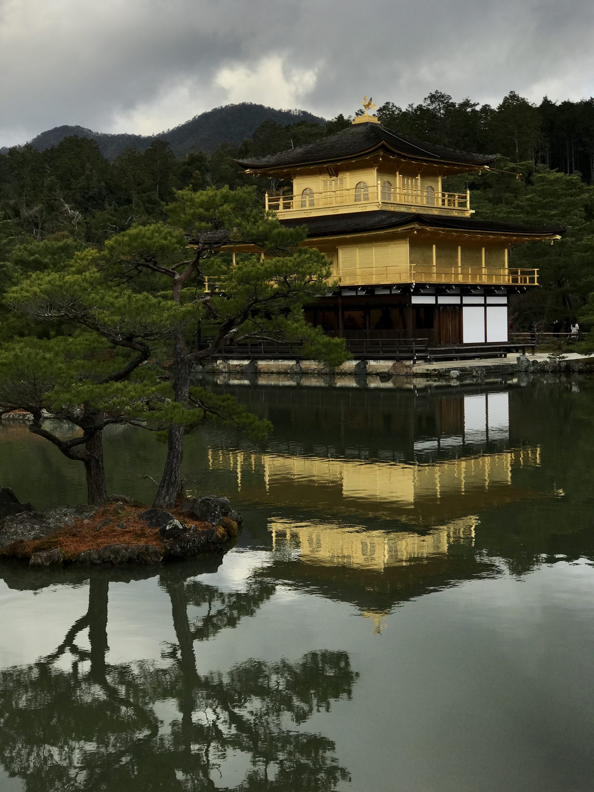 Золотой храм Киото, фото Максима Шарова