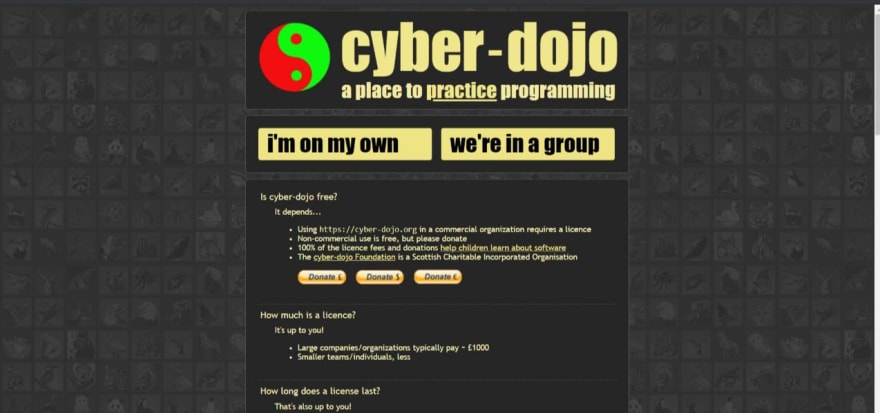 Cyber Dojo