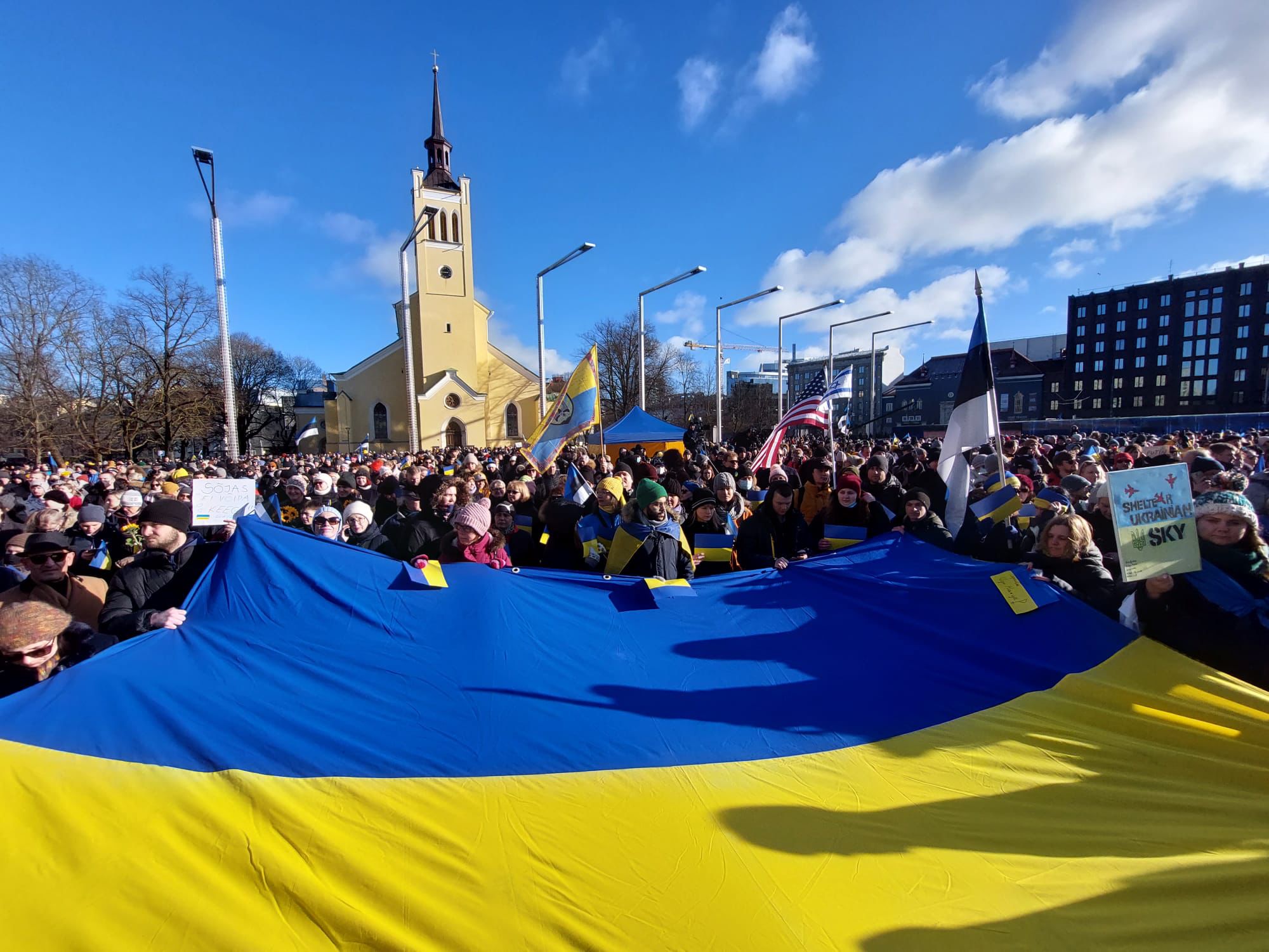 Фото с митингов в поддержку Украины в Таллине