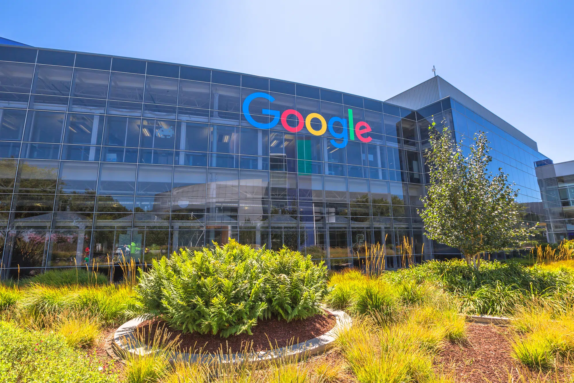 Офис Google, иллюстрация